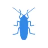 Уничтожение тараканов в Орехово-Зуево